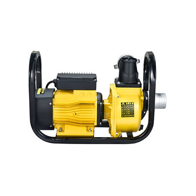Electric Drip Irrigation 220V/380V 50Hz 3.5Hp Water Pump Agricultural Centrifugal Agricultural Pond Irrigation Pump