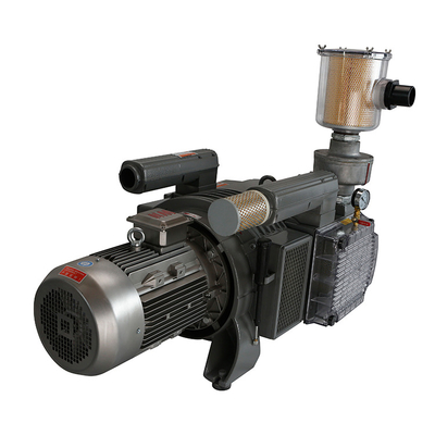 Automotive industry ZBW-G 6 series voltmini 12v small self-lubricating vacuum pump