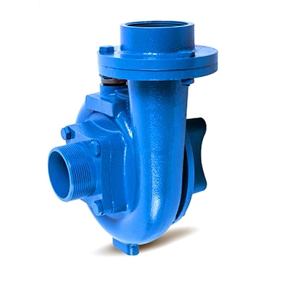 Family houses DACHENG DCT-20 2.2kW 3hp 2 inch electric centrifugal water pump agriculture pumps
