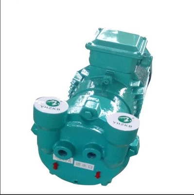 Biofuel Industry 2BV2/2BV5/2BV6 Series Liquid Ring Vacuum Pump