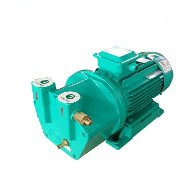 Biofuel Industry Liquid Ring Vacuum Pump 0.75kw