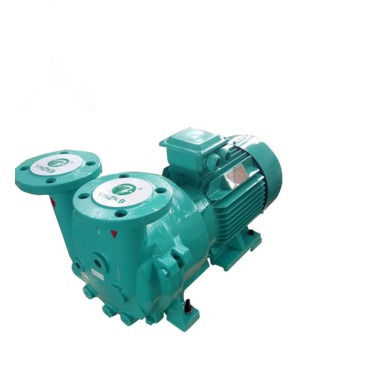 Biofuel Industry Model 2BV5 161 Vaccuum Pumps